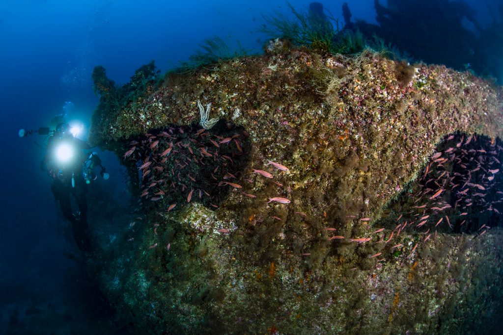 relitto kent san vito lo capo immersione subacquea