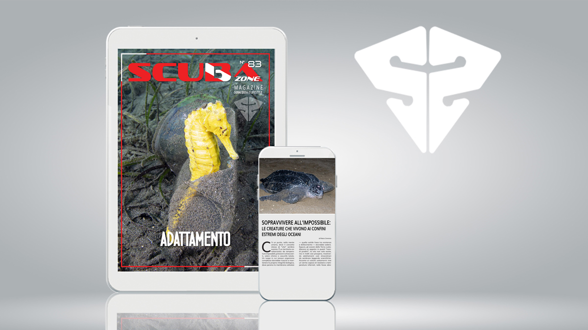 scubazone 83 magazine scubaportal subacquea