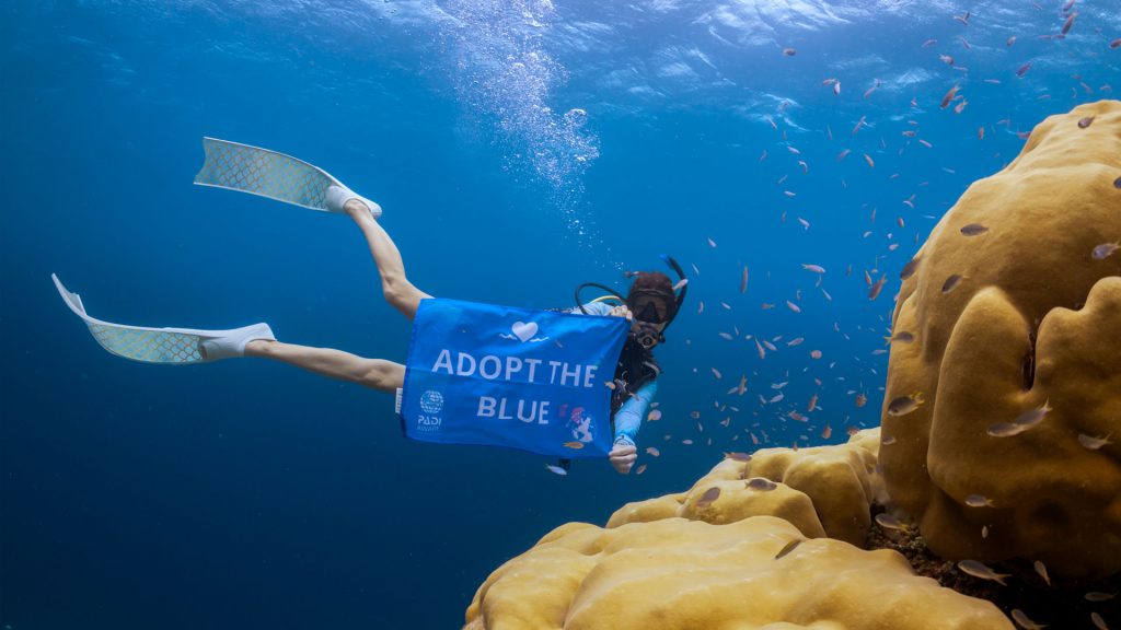 Padi Adopt the Blue