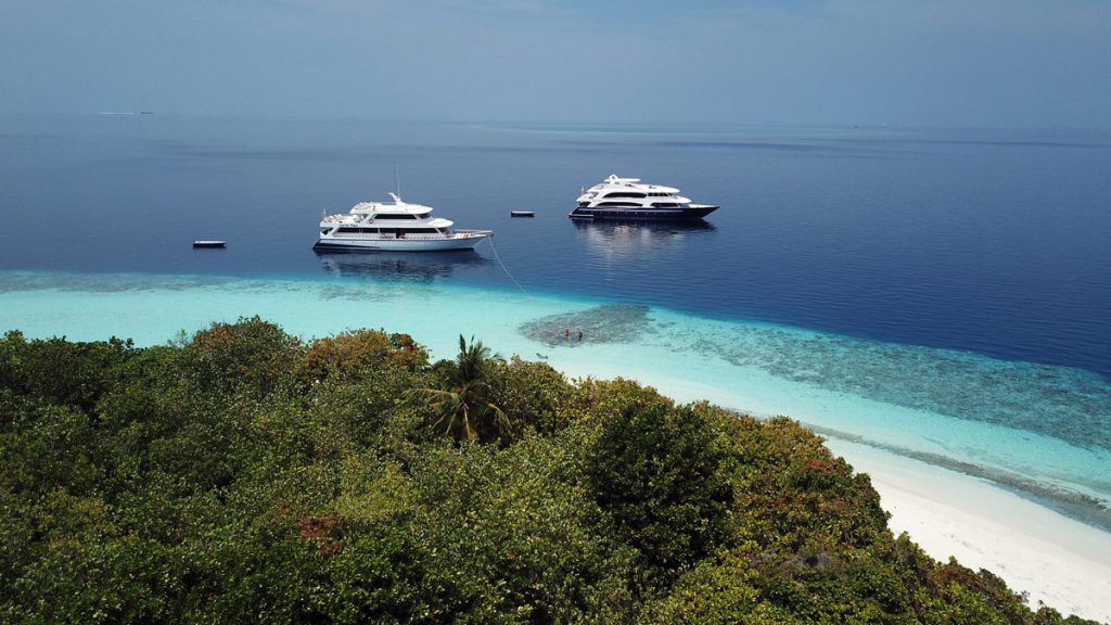 albatros top boat barche sub maldive