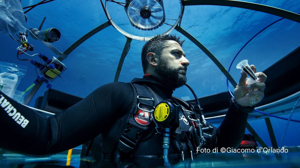 emilio mancuso noli orto subacqueo giacomo orlando