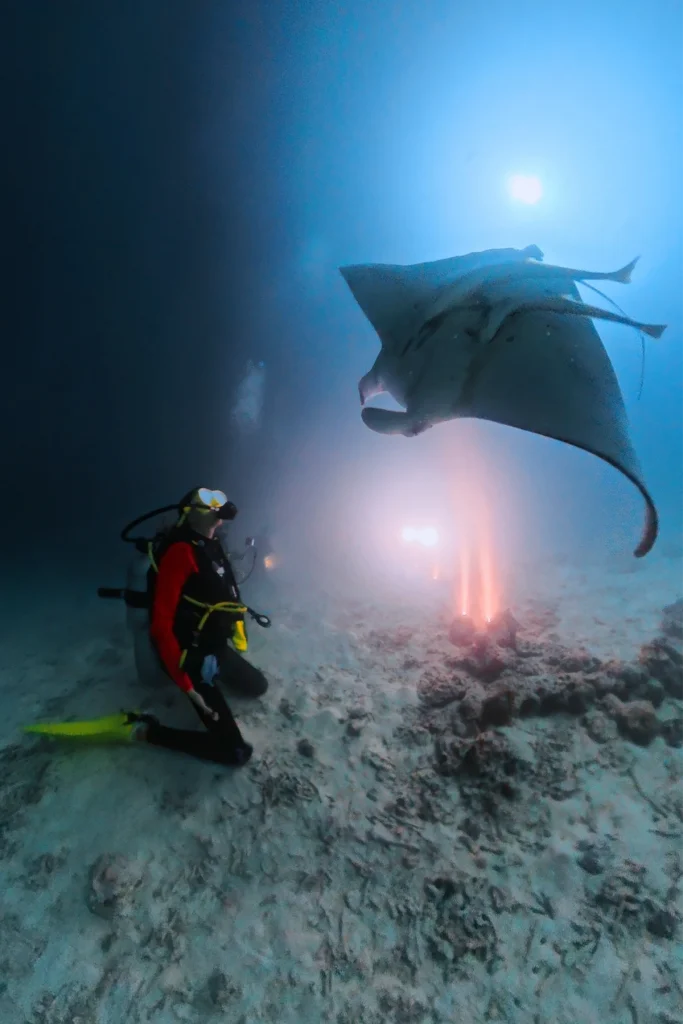 Madive immersione sub manta