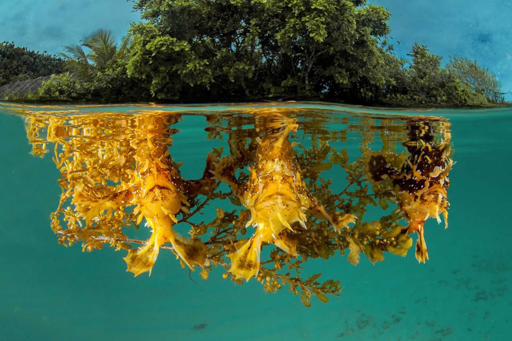 1° Classificato categoria Wide Angle: Marco Giuliano con "che scatto"