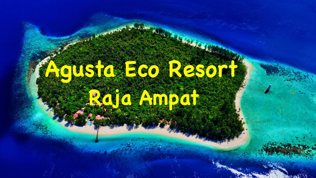 agusta eco resort testo