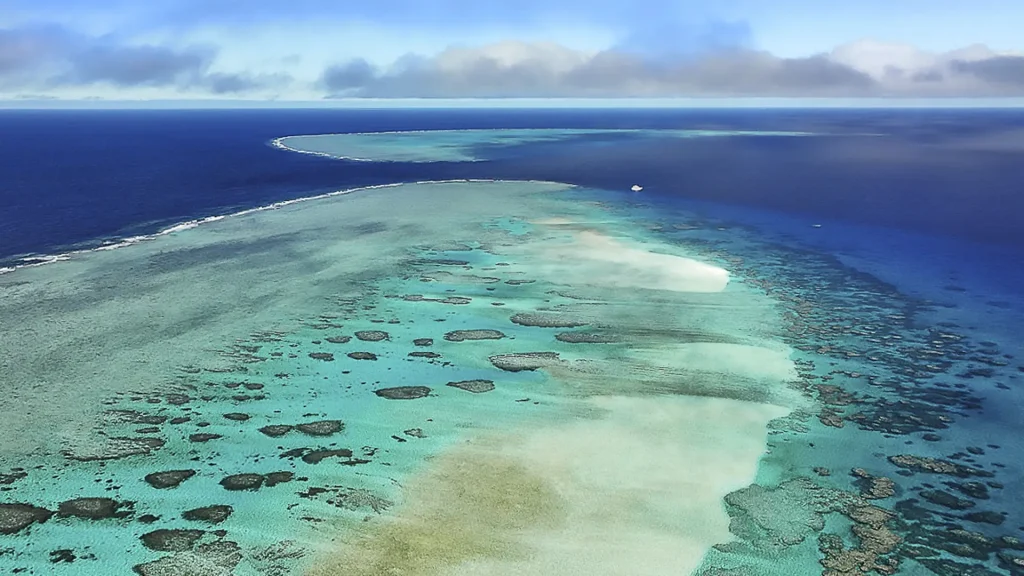 barriera corallina asutraliana subacquea