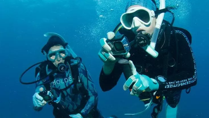 madre figlia barriera corallina australia