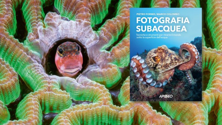 fotografia subacquea pietro formis libro