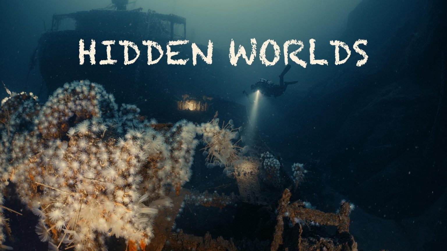 hidden worlds recensione documentario subacqueo