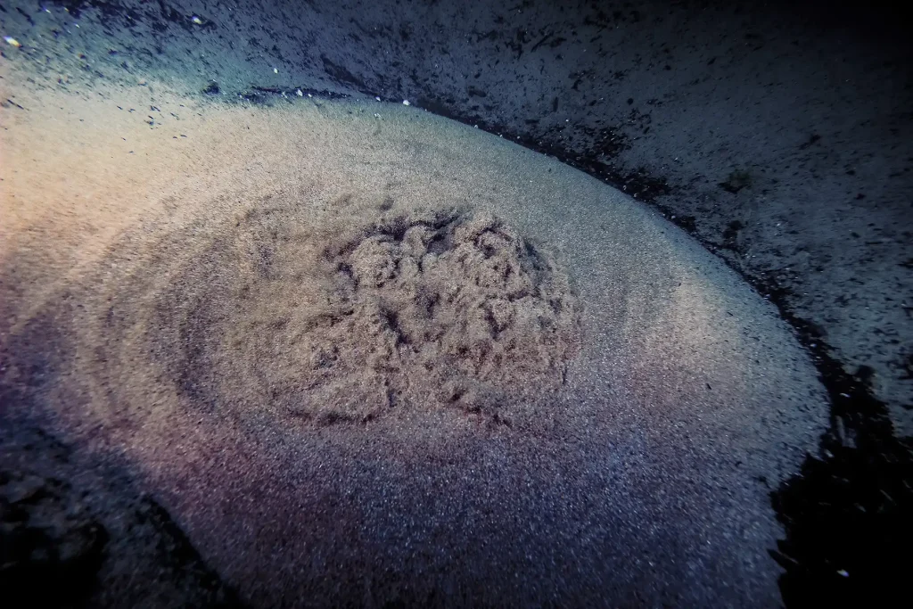 lago beinette ribolle acqua