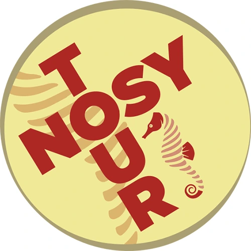 Nosytour Diving Travel Concept