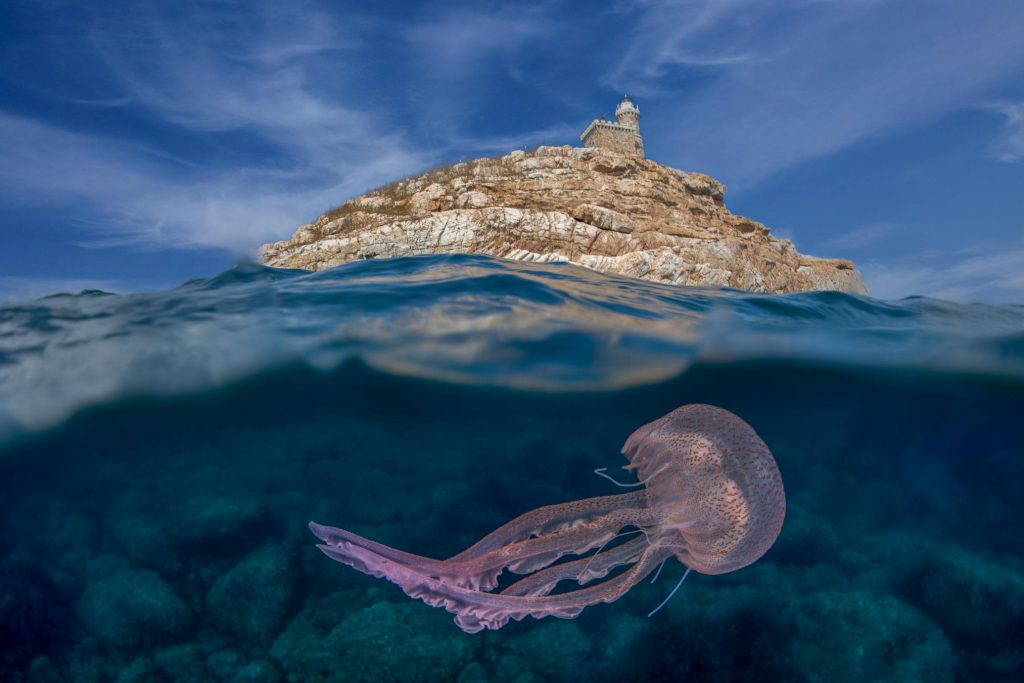 Fotografia split shot di una medusa sotto la superficie, con isolotto roccioso e faro sullo sfondo