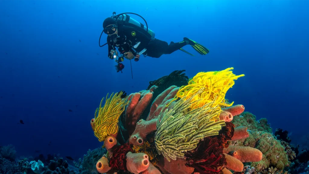 mete subacque viaggi sub