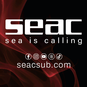 Seac