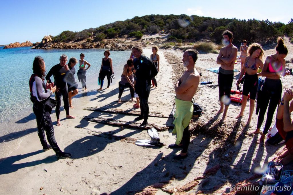 Corso guida snorkeling naturalistica breefing